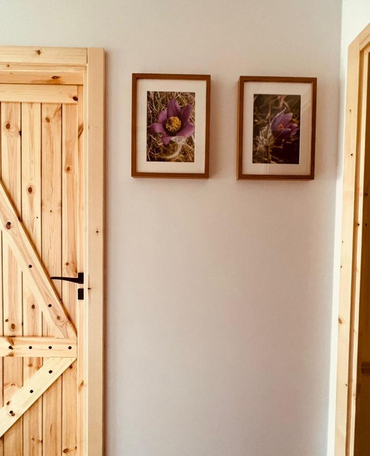 Sasanka - Gorski Apartament Z Ogrodkiem Zakopane Eksteriør billede